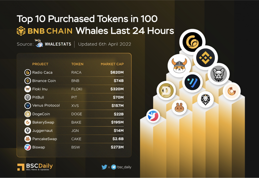 Radio Caca (RACA) Is the Most Purchased Cryptocurrency by BNBChain Whales, Surpassing DOGE and BNB